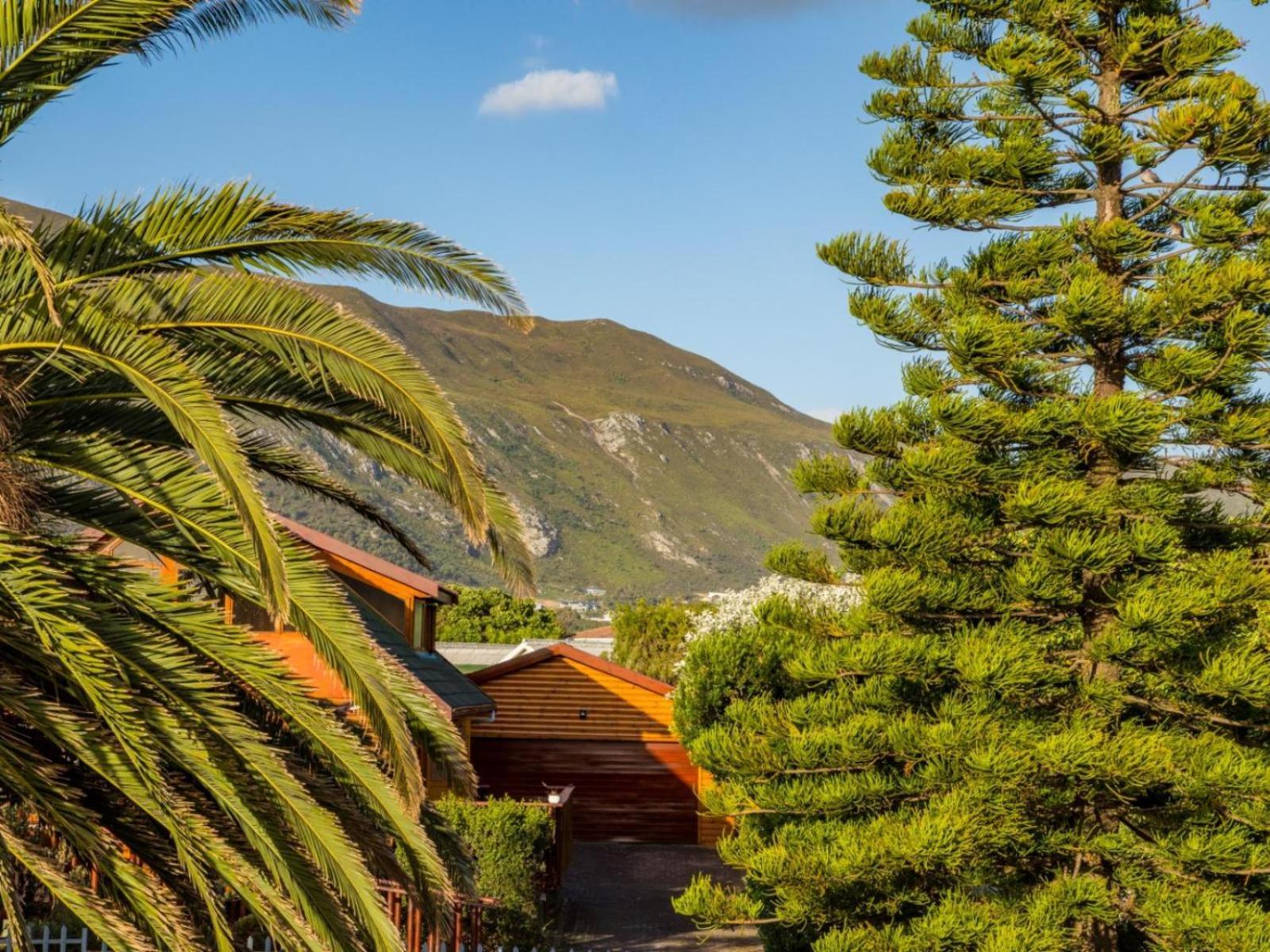 Two Palm House - Vermont Hermanus Bilik gambar