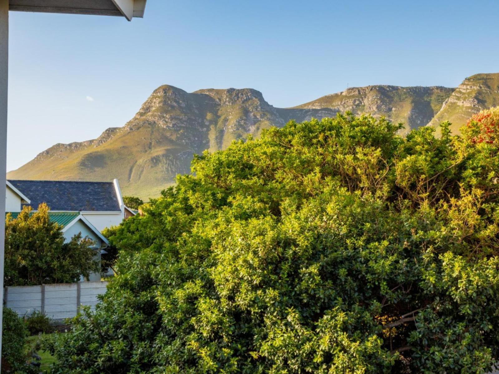 Two Palm House - Vermont Hermanus Bilik gambar