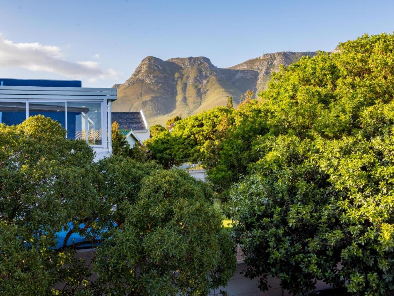 Two Palm House - Vermont Hermanus Bilik gambar